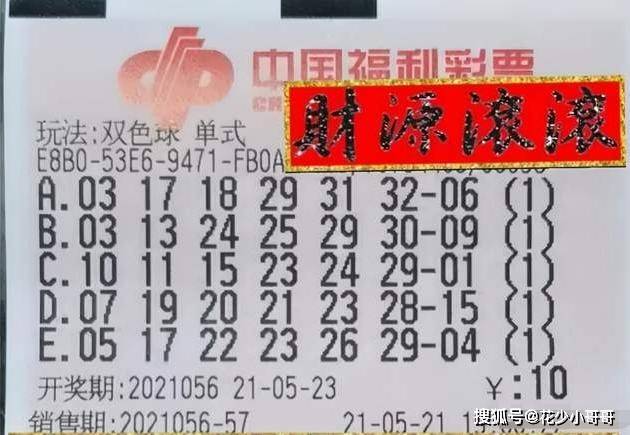 揭秘本期双色球开奖号码，幸运数字背后的奥秘与期待