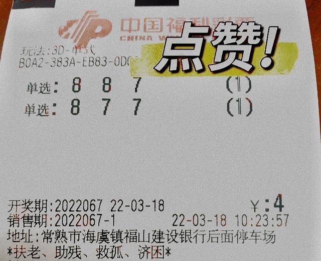 福彩之光，探索中国福利彩票的奥秘与中奖号码的奇妙之旅