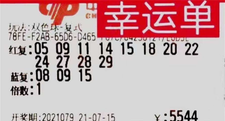 今日彩票开奖结果，梦想与现实的交汇