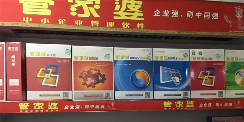 管家婆，现代家庭生活的智慧守护者