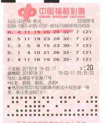 双色球中奖的奥秘，从选号到领奖的详细指南