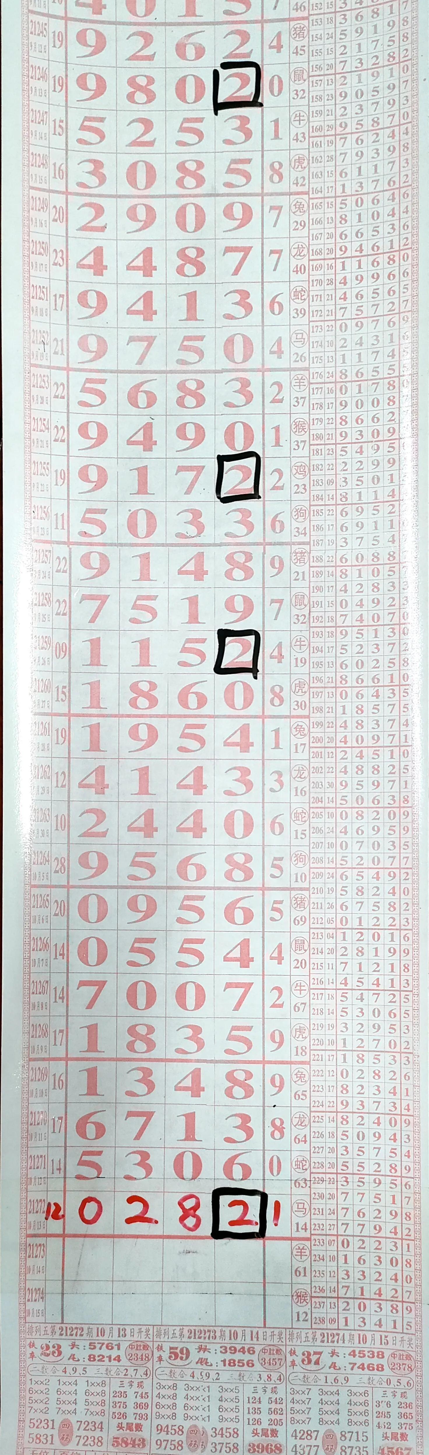 探索体彩排列五走势图，解码数字背后的奥秘