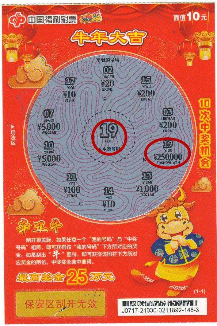 晒票时刻，揭秘双色球彩票的奇妙之旅