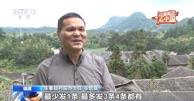 七星彩今日号码揭秘，探寻数字背后的奥秘