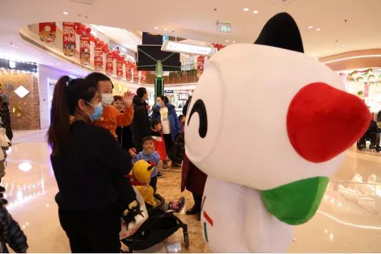 探索幸运之旅，揭秘彩票网首页官网下载的奥秘