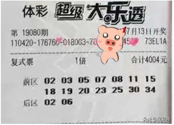 大乐透复式票晒票汇总，理性与幸运的碰撞，揭秘彩民的智慧与激情