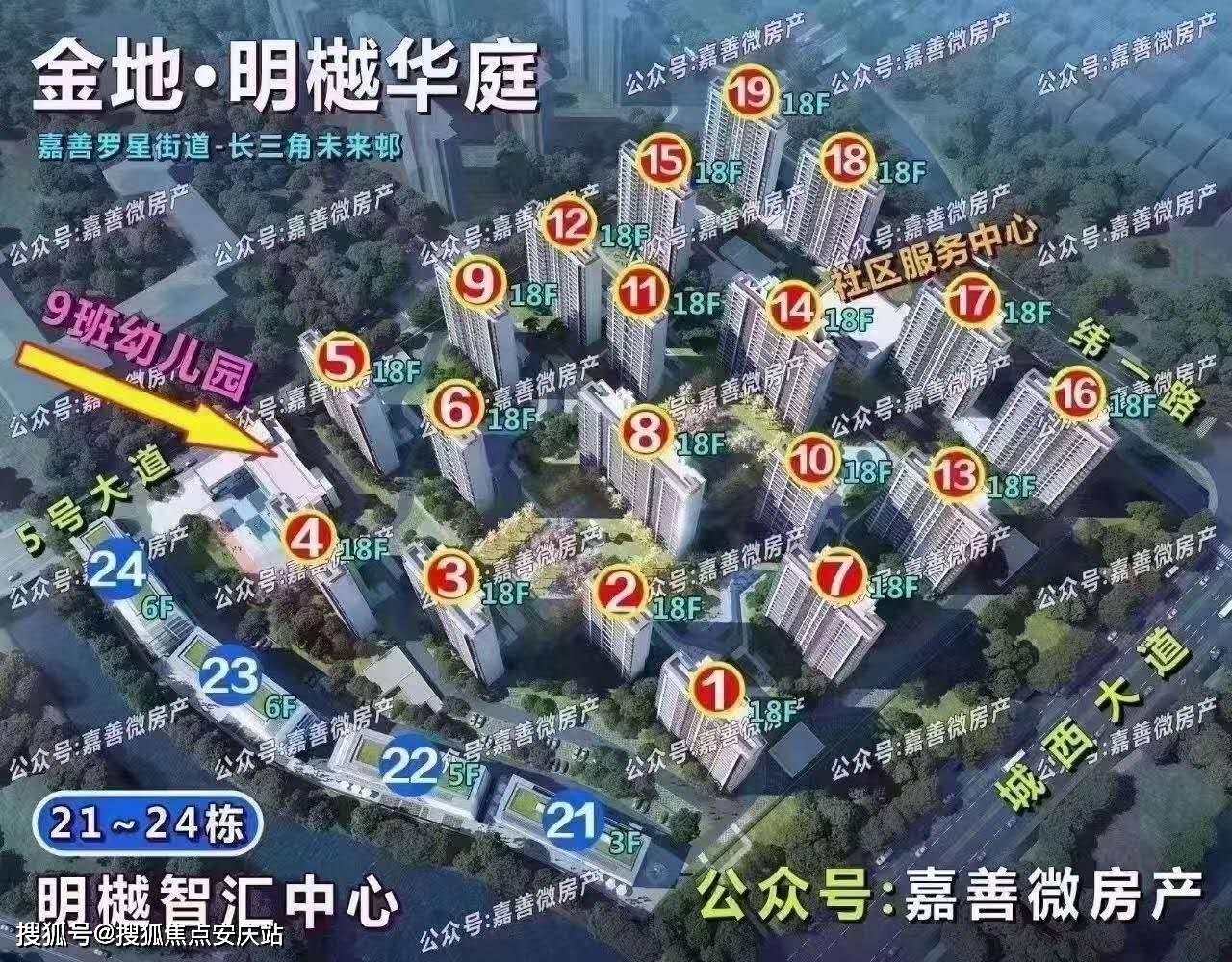 探索2024最新阳光探码，图文版深度解析