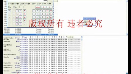 蓝海之谜，揭秘定蓝高手双色球选号秘籍