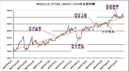 2021年南方双彩开奖结果走势图，深度分析与未来展望