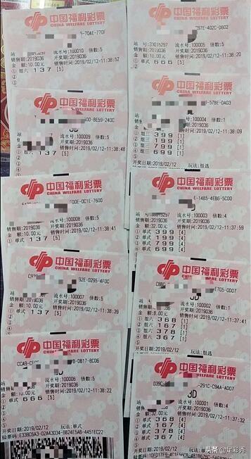 探索幸运的数字，三D与双色球开奖结果的奥秘