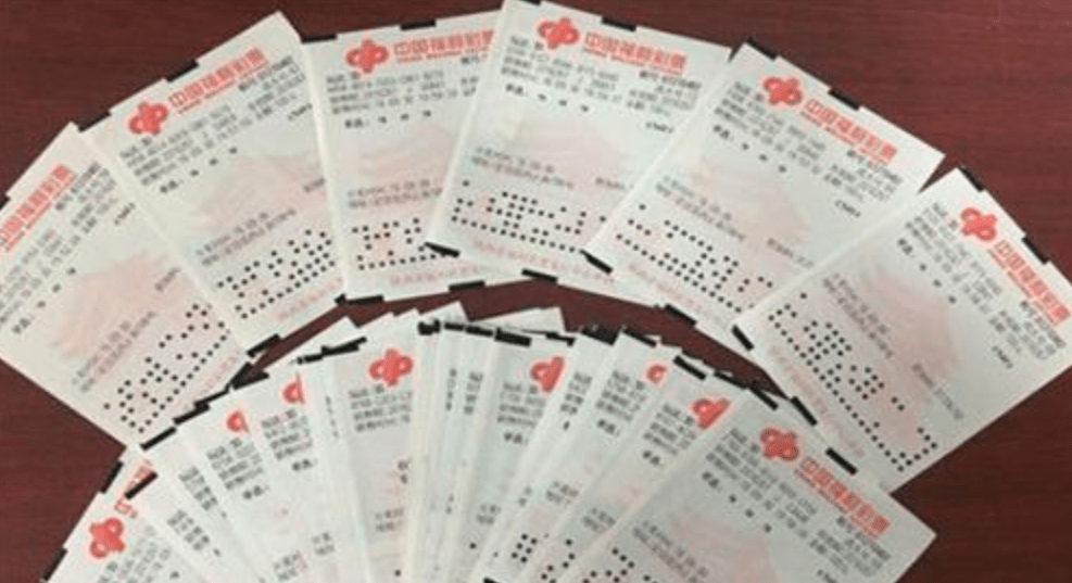 P3狂想，彩票谜语总汇的奇幻之旅