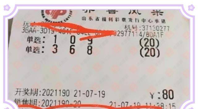 探索双色球与3D彩票的奇妙世界，开奖结果查询的乐趣与技巧