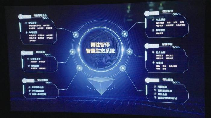 乐彩3d论坛17500电脑版，数字与智慧的碰撞