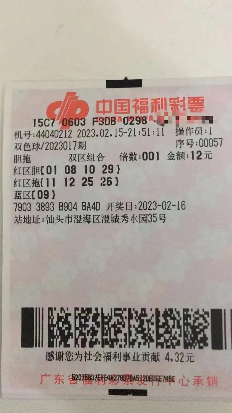 2019全年双色球开奖记录完整回顾，梦想与奇迹的交织