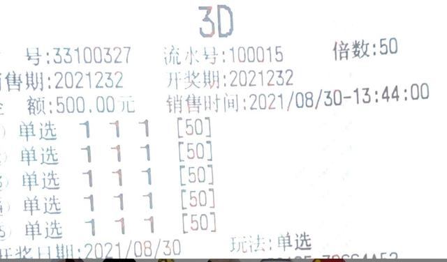 探索三D彩票的魅力，从第一百期看其独特魅力与未来展望
