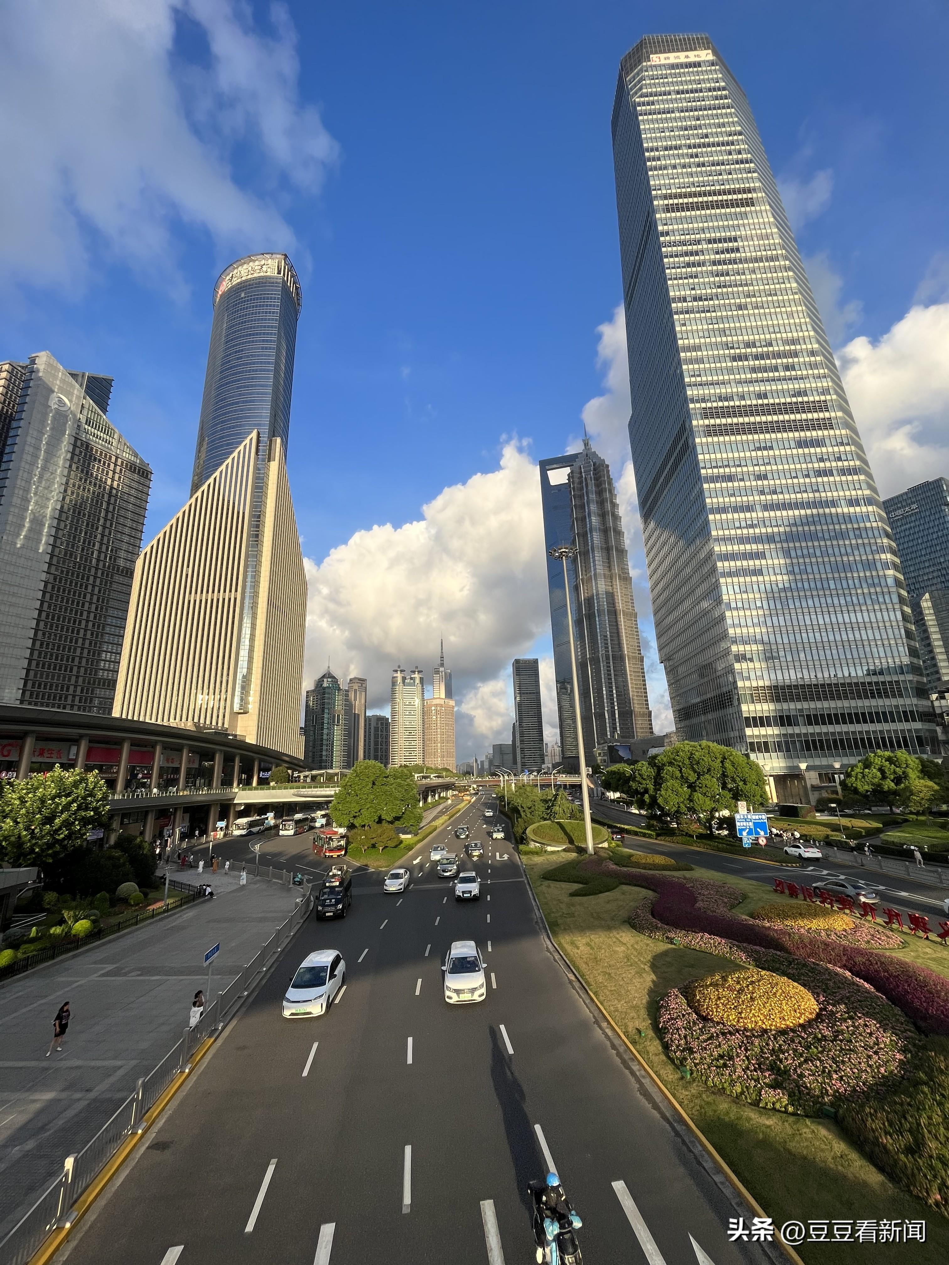 2024新浪版3D综合版走势图，透视数字世界的未来趋势