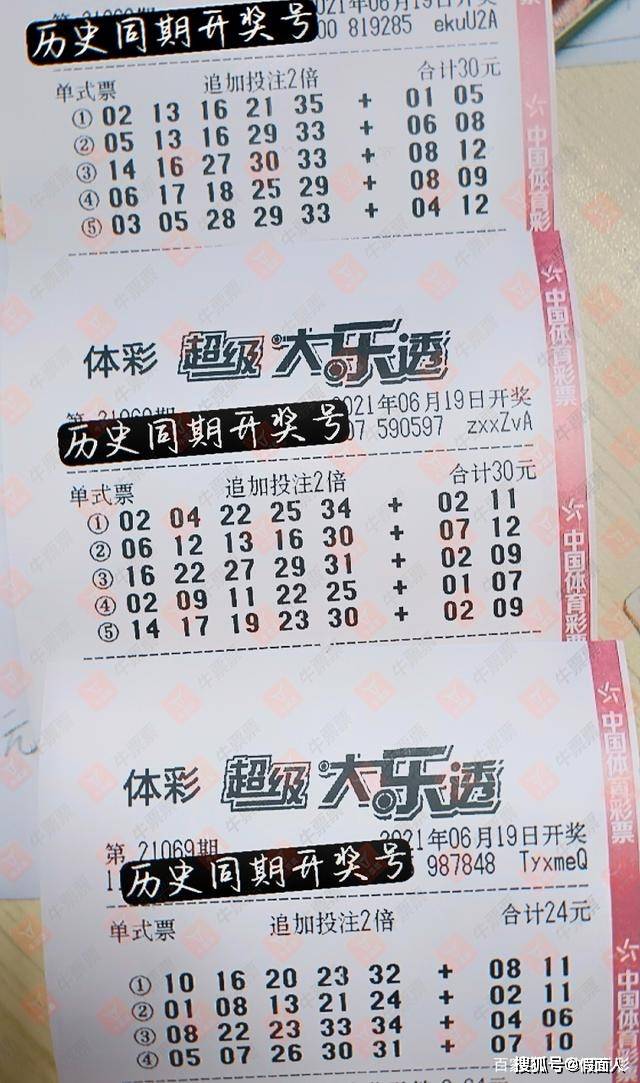 探索数字的奇迹，大乐透体彩最新开奖号码揭秘