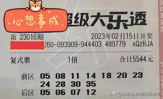 最新大乐透开奖结果揭晓，幸运数字引领梦想成真
