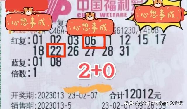 揭秘双色球中奖详情，从概率到幸运的奇妙之旅