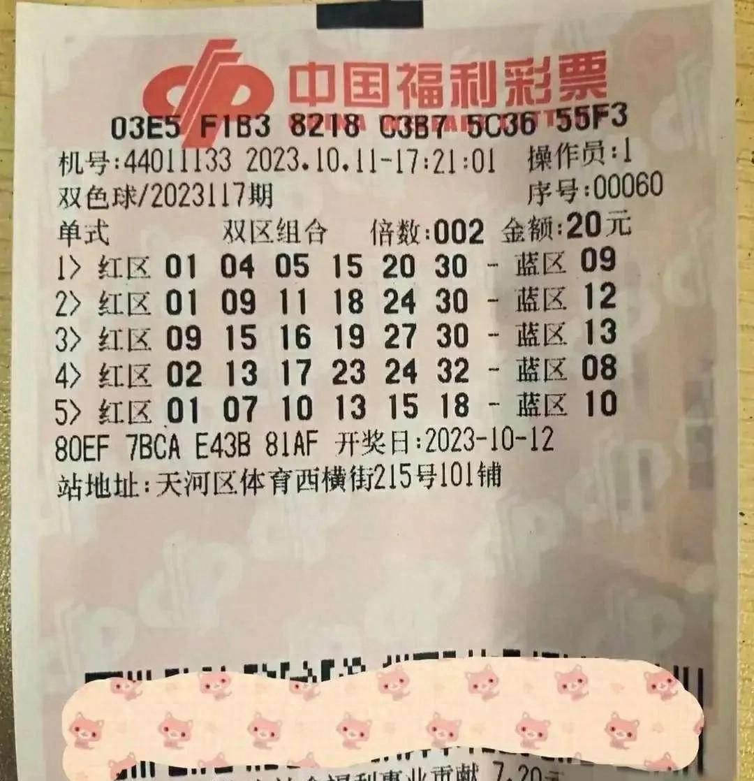 体育彩票双色球，数字的魅力与梦想的碰撞