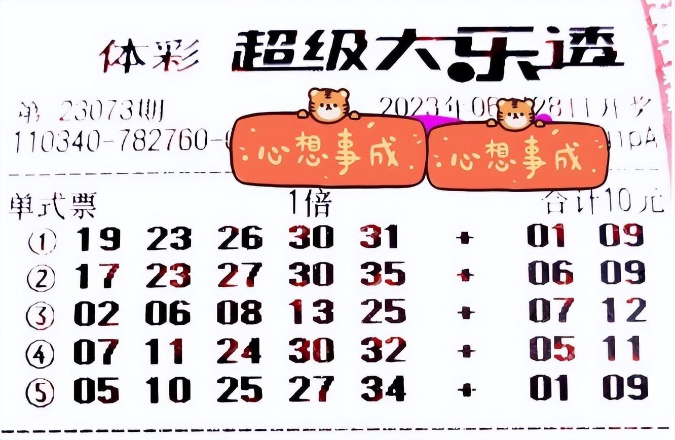 体育彩票大乐透中奖查询23073，揭秘中奖秘籍与最新查询指南
