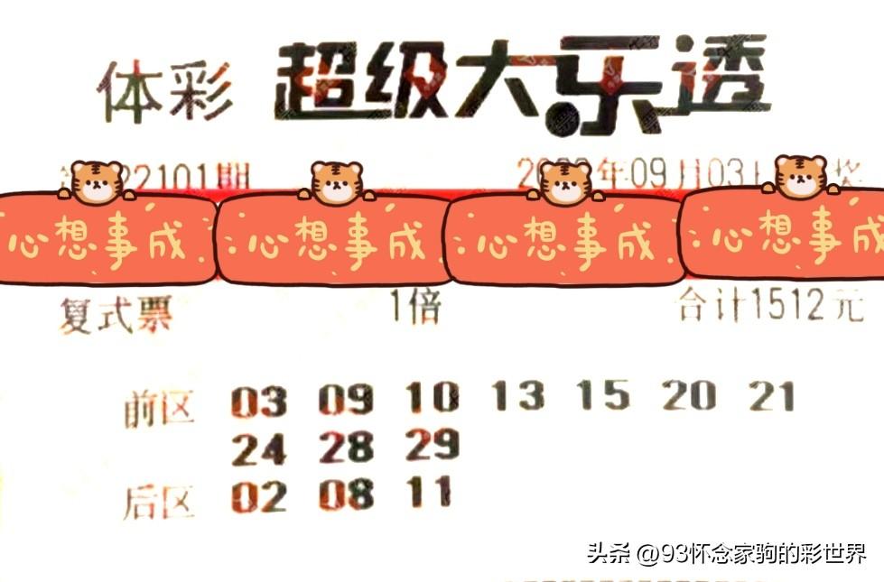 体育彩票大乐透22101期中奖查询全攻略，揭秘幸运密码