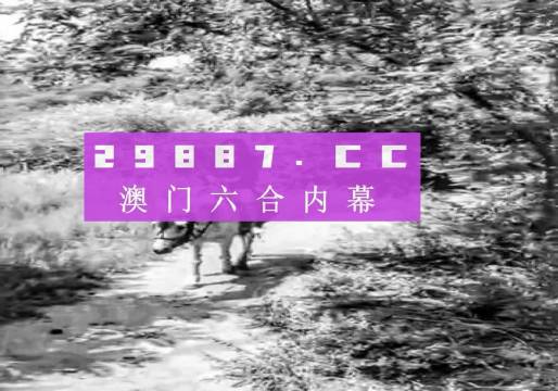 澳门六肖专家预测分析，深度解读与理性探讨